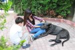 Yaza Merhaba 07 resim #28   <a href="usr_img/aikido/yaza_merhaba/yaza_merhaba_07/20110626_299.jpg" class="org_resim_indir" target="_blank" >Orjinal Resim</a>