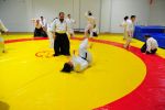 Kocaeli 9. Yıl resim #15   <a href="usr_img/resim_galerisi/aikido/etkinlik/kocaeli_9yil/15.jpg" class="org_resim_indir" target="_blank" >Orjinal Resim</a>