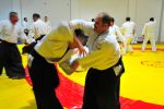 Kocaeli 9. Yıl resim #17   <a href="usr_img/resim_galerisi/aikido/etkinlik/kocaeli_9yil/17.jpg" class="org_resim_indir" target="_blank" >Orjinal Resim</a>