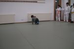 Dersten Görüntüler resim #243   <a href="usr_img/aikido/cocuk_aikido/buyuklerle_ders/img_0026.jpg" class="org_resim_indir" target="_blank" >Orjinal Resim</a>