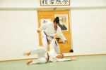 Antrenman Fotoları resim #8   <a href="usr_img/aikido/dersler/genel/kn_08.jpg" class="org_resim_indir" target="_blank" >Orjinal Resim</a>