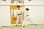 Antrenman Fotoları resim #12   <a href="usr_img/aikido/dersler/genel/kn_12.jpg" class="org_resim_indir" target="_blank" >Orjinal Resim</a>