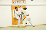 Antrenman Fotoları resim #13   <a href="usr_img/aikido/dersler/genel/kn_13.jpg" class="org_resim_indir" target="_blank" >Orjinal Resim</a>