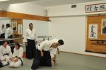 2013-07 Kumagai @ EndoKan resim #117   <a href="usr_img/aikido/seminerler/2013_07_kumagai_endokan/20130702_194.jpg" class="org_resim_indir" target="_blank" >Orjinal Resim</a>