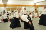 2013-07 Kumagai @ EndoKan resim #88   <a href="usr_img/aikido/seminerler/2013_07_kumagai_endokan/20130702_146.jpg" class="org_resim_indir" target="_blank" >Orjinal Resim</a>