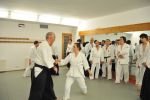 2013-07 Kumagai @ EndoKan resim #100   <a href="usr_img/aikido/seminerler/2013_07_kumagai_endokan/20130702_165.jpg" class="org_resim_indir" target="_blank" >Orjinal Resim</a>
