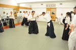 2013-07 Kumagai @ EndoKan resim #152   <a href="usr_img/aikido/seminerler/2013_07_kumagai_endokan/20130702_253.jpg" class="org_resim_indir" target="_blank" >Orjinal Resim</a>