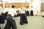 2013-07 Kumagai @ EndoKan resim #147   <a href="usr_img/aikido/seminerler/2013_07_kumagai_endokan/20130702_248.jpg" class="org_resim_indir" target="_blank" >Orjinal Resim</a>