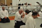 2013-07 Kumagai @ EndoKan resim #8   <a href="usr_img/aikido/seminerler/2013_07_kumagai_endokan/20130702_011.jpg" class="org_resim_indir" target="_blank" >Orjinal Resim</a>