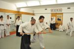 2013-07 Kumagai @ EndoKan resim #156   <a href="usr_img/aikido/seminerler/2013_07_kumagai_endokan/20130702_257.jpg" class="org_resim_indir" target="_blank" >Orjinal Resim</a>