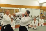 2013-07 Kumagai @ EndoKan resim #90   <a href="usr_img/aikido/seminerler/2013_07_kumagai_endokan/20130702_149.jpg" class="org_resim_indir" target="_blank" >Orjinal Resim</a>