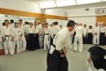 2013-07 Kumagai @ EndoKan resim #113   <a href="usr_img/aikido/seminerler/2013_07_kumagai_endokan/20130702_189.jpg" class="org_resim_indir" target="_blank" >Orjinal Resim</a>