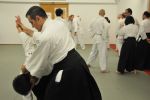 2013-07 Kumagai @ EndoKan resim #107   <a href="usr_img/aikido/seminerler/2013_07_kumagai_endokan/20130702_182.jpg" class="org_resim_indir" target="_blank" >Orjinal Resim</a>