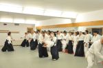 2013-07 Kumagai @ EndoKan resim #103   <a href="usr_img/aikido/seminerler/2013_07_kumagai_endokan/20130702_174.jpg" class="org_resim_indir" target="_blank" >Orjinal Resim</a>