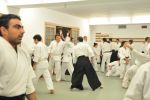 2013-07 Kumagai @ EndoKan resim #77   <a href="usr_img/aikido/seminerler/2013_07_kumagai_endokan/20130702_130.jpg" class="org_resim_indir" target="_blank" >Orjinal Resim</a>