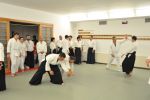 2013-07 Kumagai @ EndoKan resim #124   <a href="usr_img/aikido/seminerler/2013_07_kumagai_endokan/20130702_209.jpg" class="org_resim_indir" target="_blank" >Orjinal Resim</a>