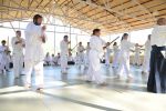 2013-07 Kumagai @ Satoyama resim #6   <a href="usr_img/aikido/seminerler/2013_07_kumagai_satoyama/satoyama_2013_07_06.jpg" class="org_resim_indir" target="_blank" >Orjinal Resim</a>