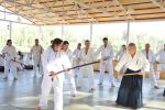 2013-07 Kumagai @ Satoyama resim #15   <a href="usr_img/aikido/seminerler/2013_07_kumagai_satoyama/satoyama_2013_07_15.jpg" class="org_resim_indir" target="_blank" >Orjinal Resim</a>