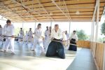 2013-07 Kumagai @ Satoyama resim #7   <a href="usr_img/aikido/seminerler/2013_07_kumagai_satoyama/satoyama_2013_07_07.jpg" class="org_resim_indir" target="_blank" >Orjinal Resim</a>