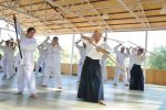 2013-07 Kumagai @ Satoyama resim #3   <a href="usr_img/aikido/seminerler/2013_07_kumagai_satoyama/satoyama_2013_07_03.jpg" class="org_resim_indir" target="_blank" >Orjinal Resim</a>