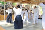 2013-07 Kumagai @ Satoyama resim #11   <a href="usr_img/aikido/seminerler/2013_07_kumagai_satoyama/satoyama_2013_07_11.jpg" class="org_resim_indir" target="_blank" >Orjinal Resim</a>