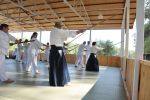 2013-07 Kumagai @ Satoyama resim #5   <a href="usr_img/aikido/seminerler/2013_07_kumagai_satoyama/satoyama_2013_07_05.jpg" class="org_resim_indir" target="_blank" >Orjinal Resim</a>