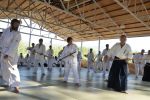 2013-07 Kumagai @ Satoyama resim #9   <a href="usr_img/aikido/seminerler/2013_07_kumagai_satoyama/satoyama_2013_07_09.jpg" class="org_resim_indir" target="_blank" >Orjinal Resim</a>