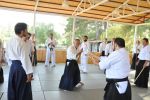 2013-07 Kumagai @ Satoyama resim #19   <a href="usr_img/aikido/seminerler/2013_07_kumagai_satoyama/satoyama_2013_07_19.jpg" class="org_resim_indir" target="_blank" >Orjinal Resim</a>