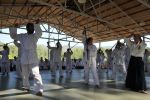 2013-07 Kumagai @ Satoyama resim #10   <a href="usr_img/aikido/seminerler/2013_07_kumagai_satoyama/satoyama_2013_07_10.jpg" class="org_resim_indir" target="_blank" >Orjinal Resim</a>