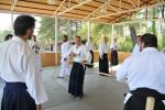 2013-07 Kumagai @ Satoyama resim #16   <a href="usr_img/aikido/seminerler/2013_07_kumagai_satoyama/satoyama_2013_07_16.jpg" class="org_resim_indir" target="_blank" >Orjinal Resim</a>