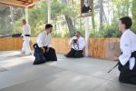 2013-07 Kumagai @ Satoyama resim #37   <a href="usr_img/aikido/seminerler/2013_07_kumagai_satoyama/satoyama_2013_07_37.jpg" class="org_resim_indir" target="_blank" >Orjinal Resim</a>