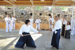 2013-07 Kumagai @ Satoyama resim #22   <a href="usr_img/aikido/seminerler/2013_07_kumagai_satoyama/satoyama_2013_07_22.jpg" class="org_resim_indir" target="_blank" >Orjinal Resim</a>