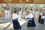2013-07 Kumagai @ Satoyama resim #23   <a href="usr_img/aikido/seminerler/2013_07_kumagai_satoyama/satoyama_2013_07_23.jpg" class="org_resim_indir" target="_blank" >Orjinal Resim</a>