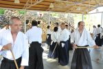2013-07 Kumagai @ Satoyama resim #26   <a href="usr_img/aikido/seminerler/2013_07_kumagai_satoyama/satoyama_2013_07_26.jpg" class="org_resim_indir" target="_blank" >Orjinal Resim</a>