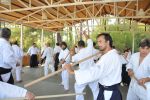 2013-07 Kumagai @ Satoyama resim #31   <a href="usr_img/aikido/seminerler/2013_07_kumagai_satoyama/satoyama_2013_07_31.jpg" class="org_resim_indir" target="_blank" >Orjinal Resim</a>