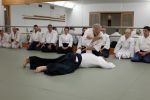 Musafa AYGÜN Sensei @ EndoKan (21.06.214) resim #45   <a href="usr_img/aikido/seminerler/2014_06_21_mustafa_aygun/dscf0072.jpg" class="org_resim_indir" target="_blank" >Orjinal Resim</a>