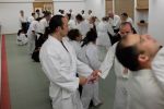 Musafa AYGÜN Sensei @ EndoKan (21.06.214) resim #23   <a href="usr_img/aikido/seminerler/2014_06_21_mustafa_aygun/dscf0023.jpg" class="org_resim_indir" target="_blank" >Orjinal Resim</a>