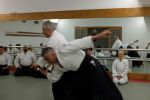 Musafa AYGÜN Sensei @ EndoKan (21.06.214) resim #17   <a href="usr_img/aikido/seminerler/2014_06_21_mustafa_aygun/dscf0017.jpg" class="org_resim_indir" target="_blank" >Orjinal Resim</a>