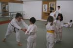 20111218 Aikifun resim #20   <a href="usr_img/aikido/cocuk_aikido/20111218_aikifun/20111218_20.jpg" class="org_resim_indir" target="_blank" >Orjinal Resim</a>