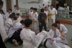 20111218 Aikifun resim #46   <a href="usr_img/aikido/cocuk_aikido/20111218_aikifun/20111218_46.jpg" class="org_resim_indir" target="_blank" >Orjinal Resim</a>