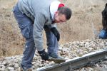 UAO Ormanı Dikimi resim #47   <a href="usr_img/aikido/uao_ormani_dikimi/20111224_47.jpg" class="org_resim_indir" target="_blank" >Orjinal Resim</a>