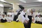 2013 - Toshiro SUGA Şihan'ın Semineri resim #103   <a href="usr_img/resim_galerisi/aikido/sinav_seminer/toshiro-suga-sihan-semineri-2013/hur_3977.jpg" class="org_resim_indir" target="_blank" >Orjinal Resim</a>