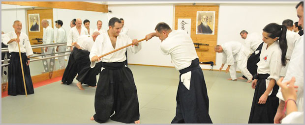 aikido, Herkes ilerlemiş. Ben yeniyim. Nasıl başlayacağım?, Ankara Aikido Kursu, Ankara Aikido, Aikido Kursları  